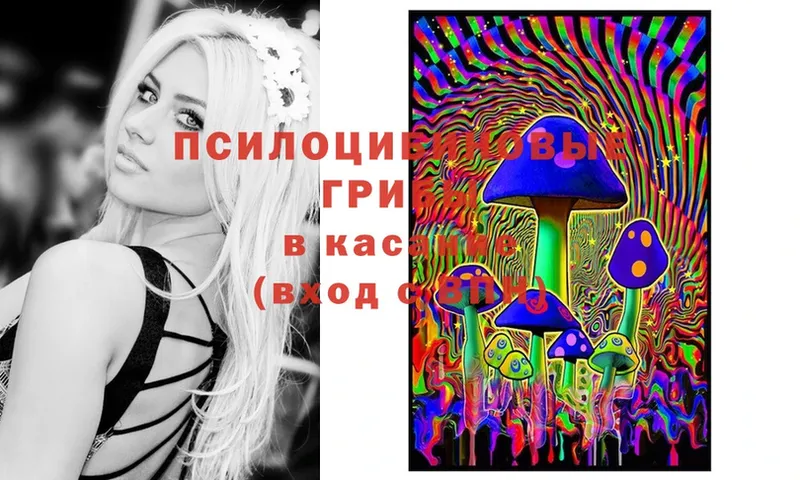 цены наркотик  Петушки  Псилоцибиновые грибы MAGIC MUSHROOMS 